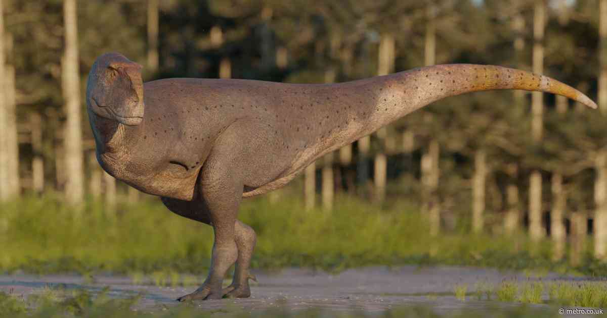 Spot the arms on this new 70,000,000-year-old dinosaur (you may need glasses)
