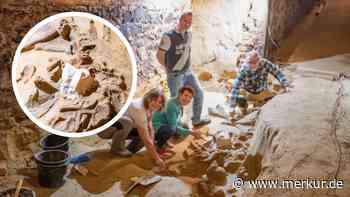 „Jahrhundertfund“ aus der Steinzeit: Knochen von drei Mammuts im Weinkeller entdeckt