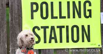 What photo ID you need to vote in General Election 2024 at polling stations