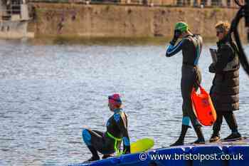 Bristol’s Floating Harbour wild swimming returns next month