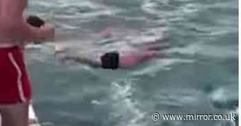 'Stupid and reckless man' filmed attempting to 'body slam' killer whale from boat