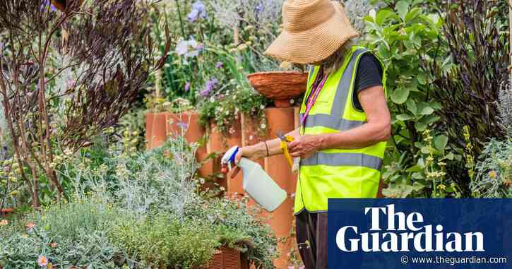 Small steps towards sustainable gardens | Brief letters