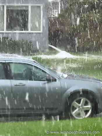 MPI opens hail-damage estimates centre