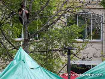 Security situation at UQAM encampment deteriorating, injunction possible, rector says