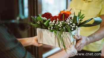 Best Online Flower Delivery Services for 2024     - CNET