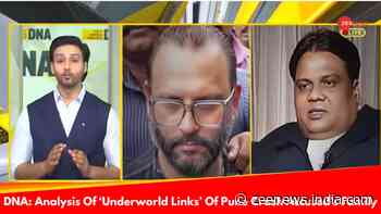 DNA Exclusive: Analysis Of Pune Porsche Accident`s `Underworld Connection