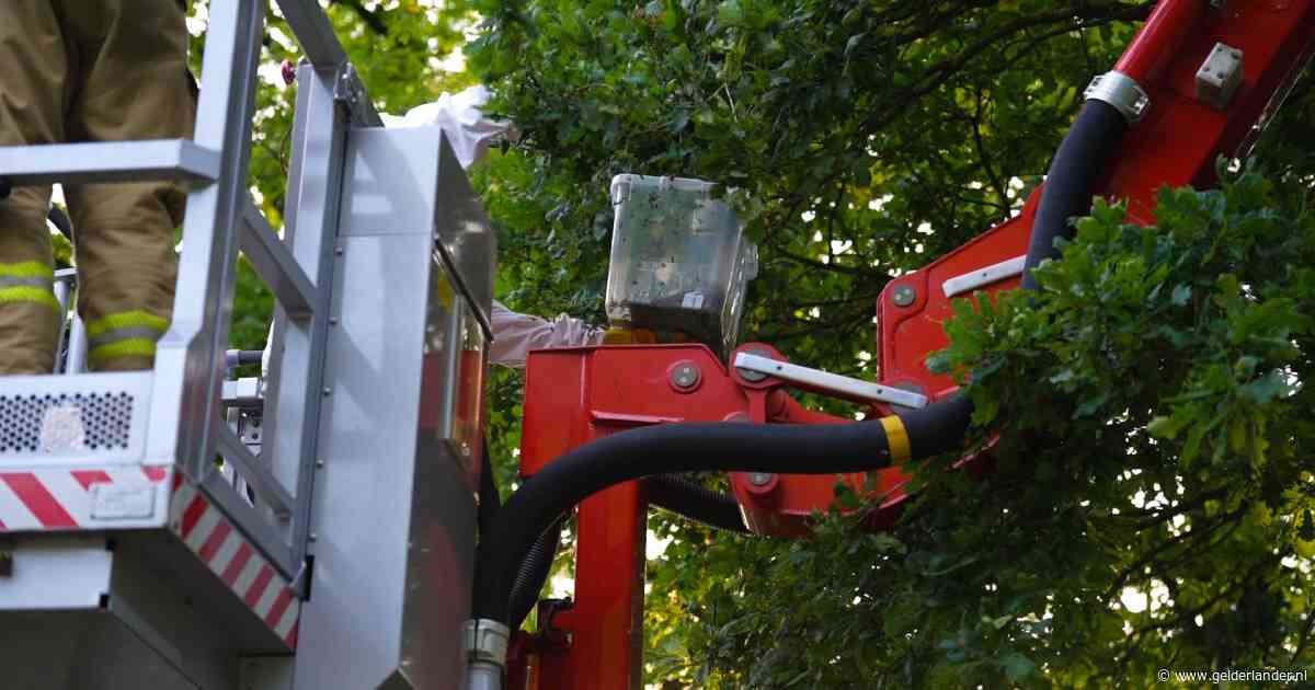 Groot wespennest dicht bij woning, brandweer moet imker komen helpen