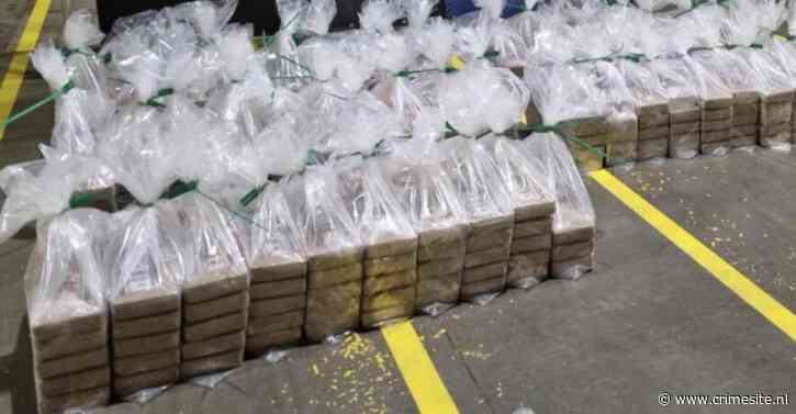 Halve ton cocaïne in Vlissingen onderschept