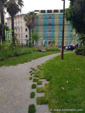 Installés puis disparus... Où sont passés ces bancs dans ce jardin rénové du coeur de Nice ?
