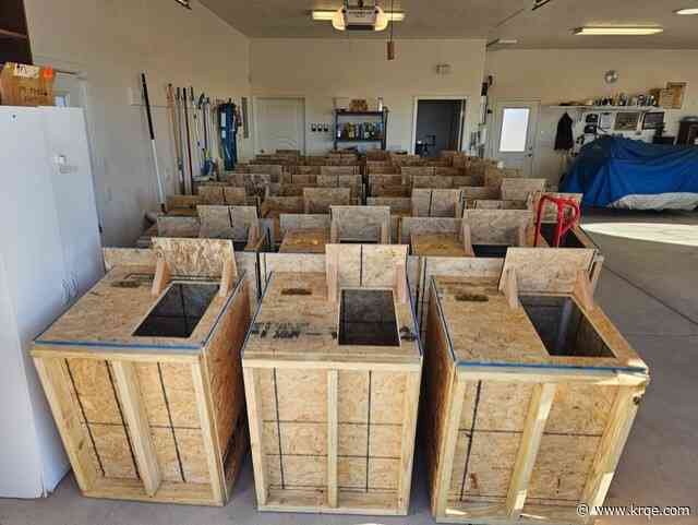 Albuquerque city councilors, Woodworkers Association build doghouses for program