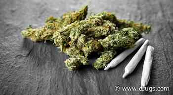 Cannabis Use Tied to Higher Risk for Psychotic Disorder in Youth