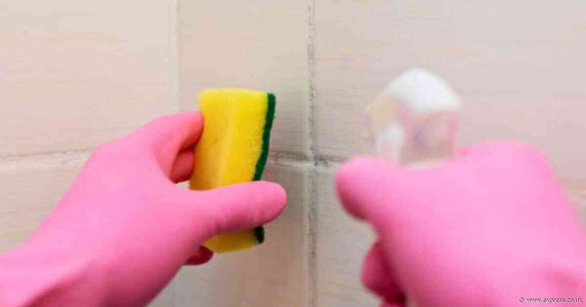 ‘Easiest’ way to remove grout takes 10 minutes - no scrubbing, vinegar or bleach needed