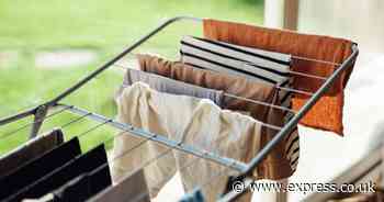 Avoid ‘big no-go’ when drying washing indoors or risk mouldy clothes and home