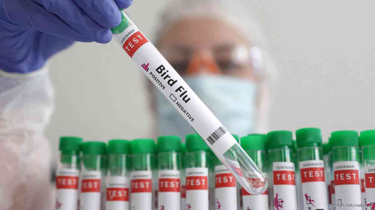 Bird flu Australia: The symptoms you need to watch out for after first human ever in Australia is diagnosed with worrying virus