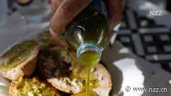 Der Fluch des «grünen Goldes»: Olivenöl wird immer teurer. Das dürfte so bleiben