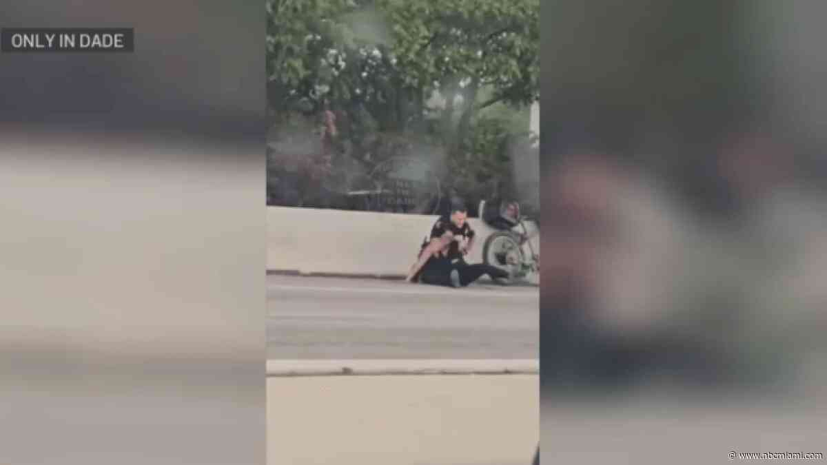 Highway video shows Medley officer struggle with woman arrested with fake gun, police say