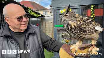 Wildlife rescue wins appeal against council notice