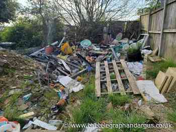 Woman fined for failing to remove piles of waste from garden