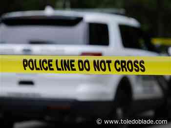 Toledo Crime Log: 5/23