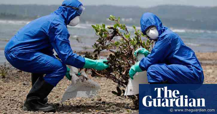 Half of world’s mangrove forests are at risk due to human behaviour – study