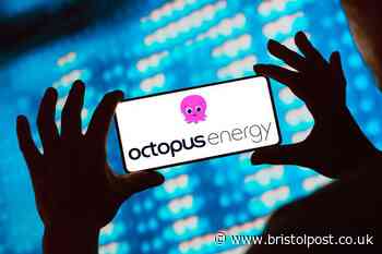 Octopus Energy launches 'buy now pay later' scheme