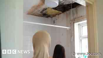 Family's fears over damp and mouldy council house