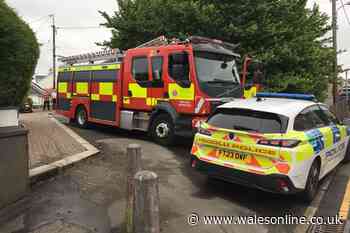 Four taken to hospital after Swansea house fire