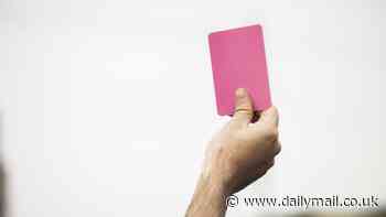 White cards, green cards... and now pink! Football's latest card will be shown at the Copa America after a rule change... but what do the colours mean and how do they work?