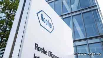 Bricht Roche endlich aus dem zweijährigen Abwärtstrend nach oben aus?
