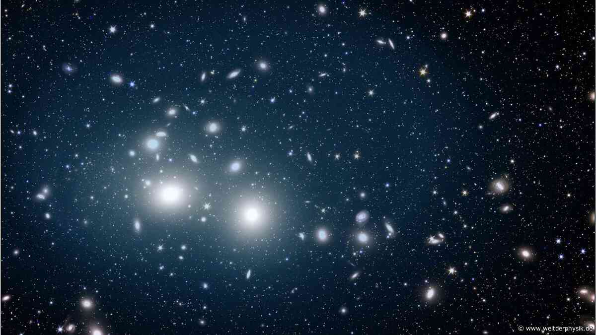 Euclid enthüllt Milliarden vereinzelte Sterne