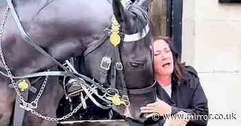 Moment King's Guard horse chomps down on tourist squirming in pain in London