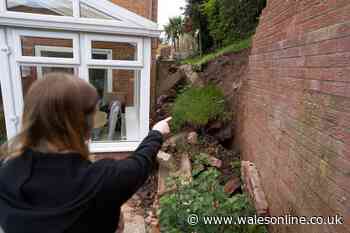 Mum 'left with PTSD' after garden wall collapse - which could cost £30k to fix