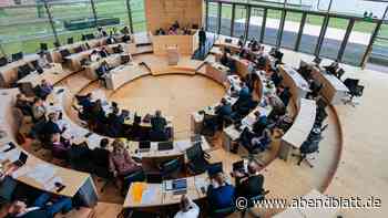 Landtag setzt Zeichen zum 75. Jahrestag des Grundgesetzes