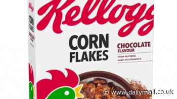 Urgent warning over Kellogg's chocolate Cornflakes as the £2.75 breakfast cereal is recalled over choking risk