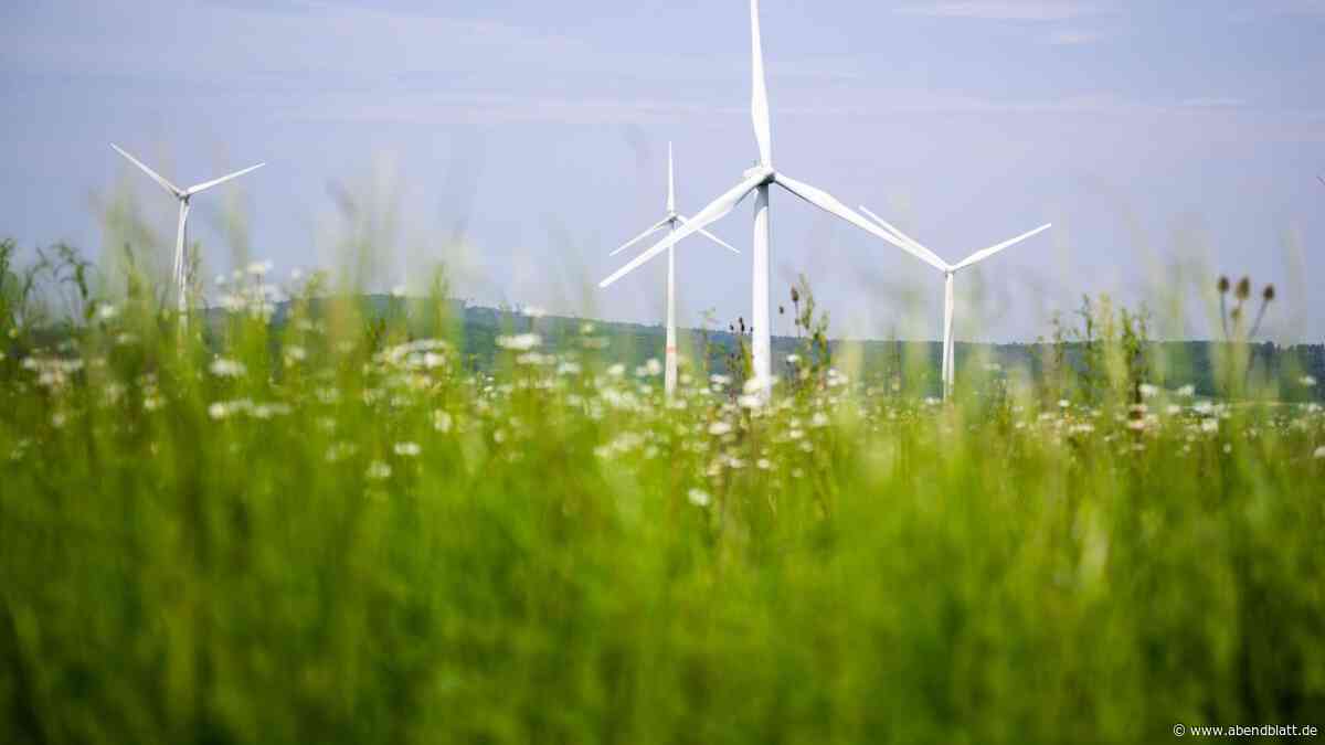 Umwelthilfe und IG Metall für Ausbau von Windenergieanlagen