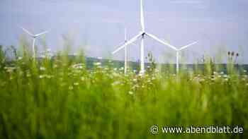 Umwelthilfe und IG Metall für Ausbau von Windenergieanlagen