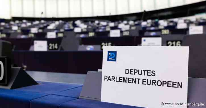 Antrag auf Ausschluss der AfD aus Fraktion im EU-Parlament