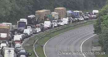 M4 closed in police incident and people stood on motorway stuck in miles of tailbacks