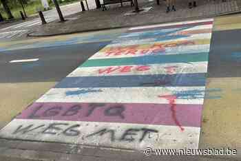 “Weg met LGBTQ”: vandalen bekladden regenboogzebrapad voor school