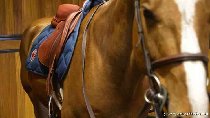 Peperdure paardenzadels gestolen uit stal, tachtigduizend euro schade