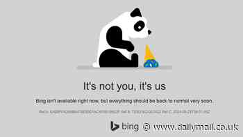 Fury as users blast Bing.com and DuckDuckGo for 'returning us to the stone age' as technical glitch takes them down for seven hours