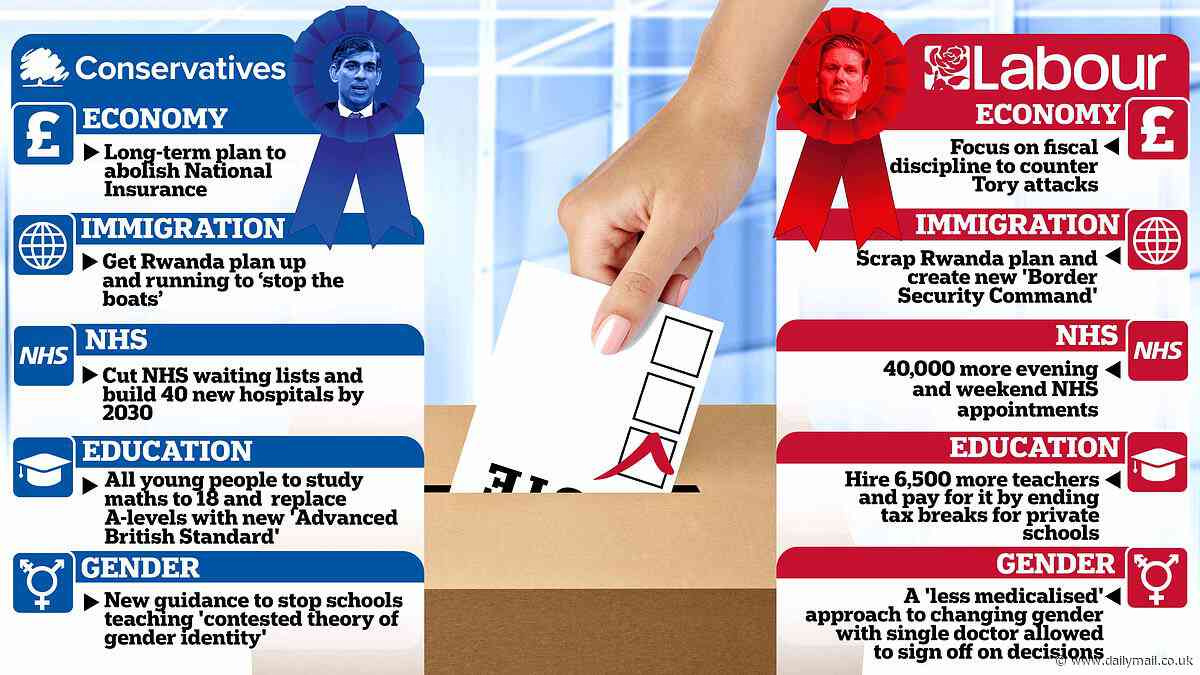 Confused on how to vote at the general election? Here is where the main parties stand on key issues - including immigration, trans ideology, the NHS, tax and education