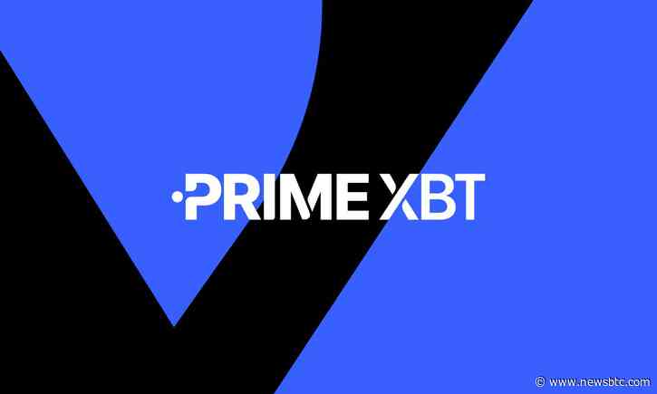 PrimeXBT’s brand revamp: new look, new features, and more