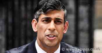 Rishi Sunak's announcement sparks new divisive election nickname amongst Brits
