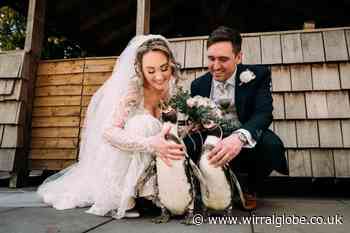 Wirral couple surprise wedding guests with penguin ring bearers
