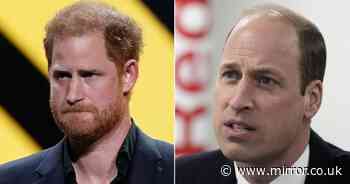 Prince William reconciling with brother Prince Harry is a 'fantasy', says friend