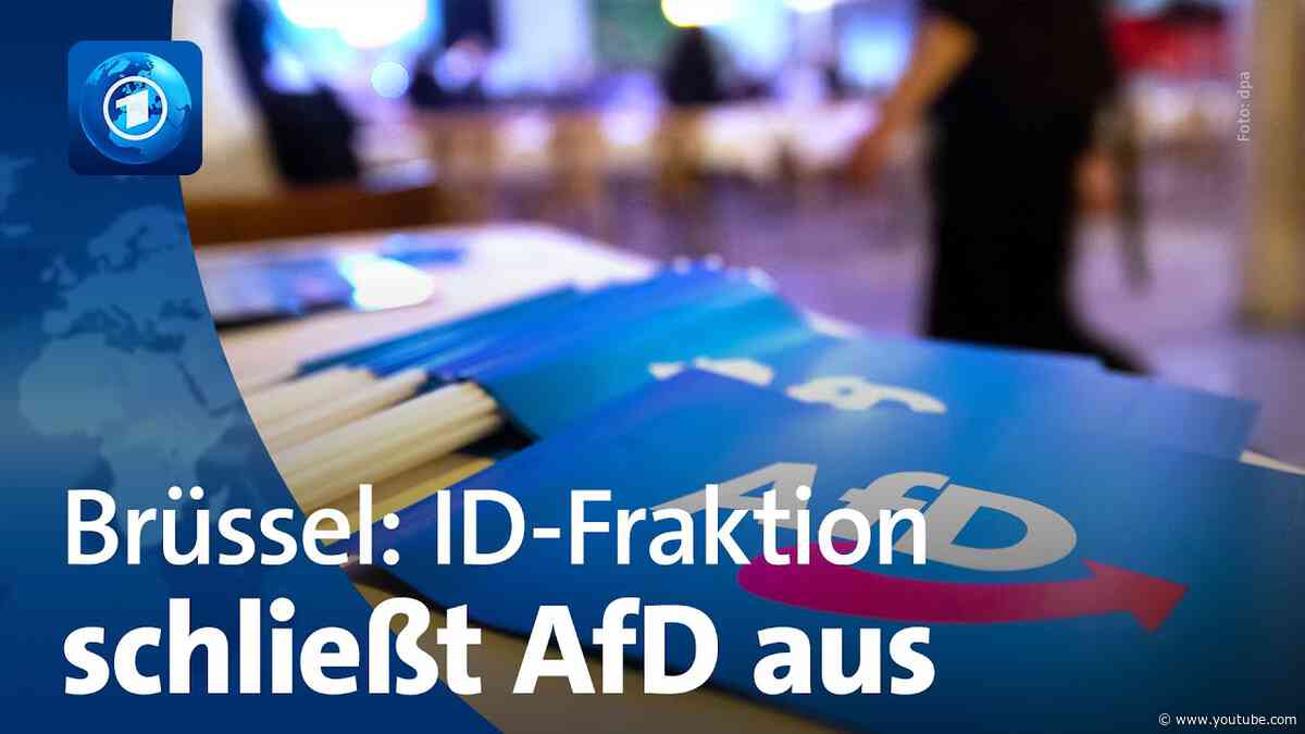 Rechte ID-Fraktion im EU-Parlament schließt AfD aus
