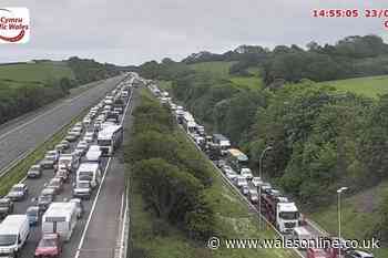 Everything we know about police incident that closed M4 for hours at J37 Pyle and J38 Margam