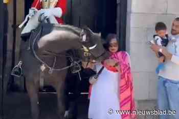 Toeriste raakt paard aan van King’s Guard voor foto, maar dier laat duidelijk blijken wat hij daarvan vindt