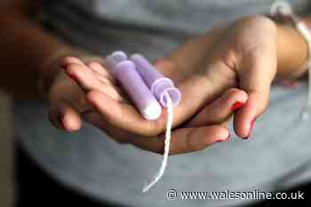 Revolutionary tampon that can detect common HPV infection